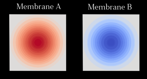Entangled Breathing Membranes Animation